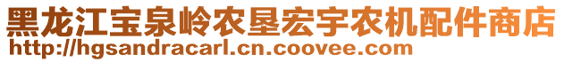 黑龍江寶泉嶺農(nóng)墾宏宇農(nóng)機(jī)配件商店