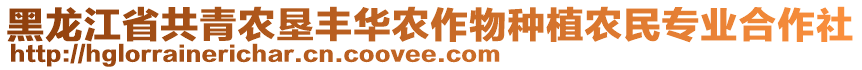 黑龍江省共青農(nóng)墾豐華農(nóng)作物種植農(nóng)民專業(yè)合作社