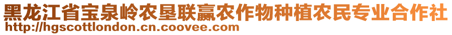 黑龍江省寶泉嶺農(nóng)墾聯(lián)贏農(nóng)作物種植農(nóng)民專業(yè)合作社