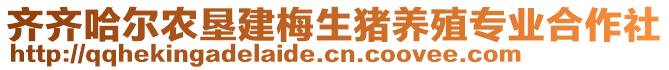 齊齊哈爾農(nóng)墾建梅生豬養(yǎng)殖專業(yè)合作社