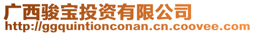 廣西駿寶投資有限公司