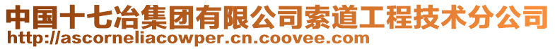 中國(guó)十七冶集團(tuán)有限公司索道工程技術(shù)分公司