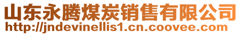 山東永騰煤炭銷售有限公司