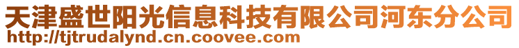 天津盛世陽光信息科技有限公司河?xùn)|分公司