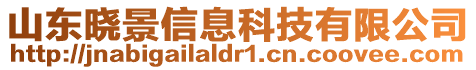 山東曉景信息科技有限公司