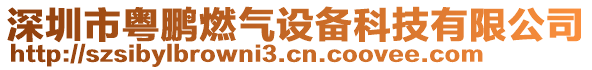 深圳市粵鵬燃氣設(shè)備科技有限公司