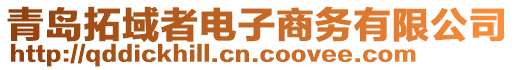 青島拓域者電子商務(wù)有限公司