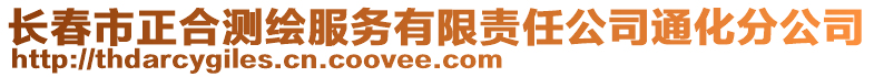 長春市正合測繪服務有限責任公司通化分公司