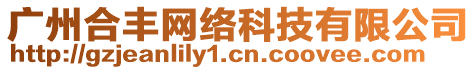 廣州合豐網(wǎng)絡(luò)科技有限公司