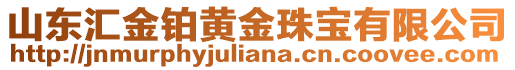 山東匯金鉑黃金珠寶有限公司