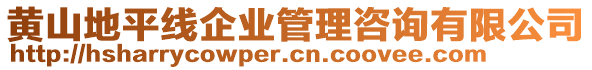 黃山地平線企業(yè)管理咨詢有限公司