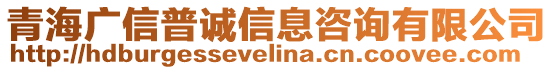 青海廣信普誠信息咨詢有限公司