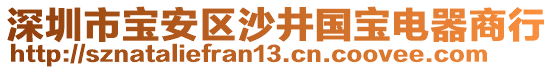 深圳市寶安區(qū)沙井國寶電器商行