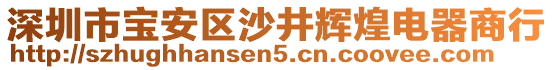 深圳市寶安區(qū)沙井輝煌電器商行