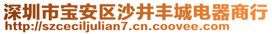 深圳市寶安區(qū)沙井豐城電器商行