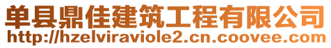 單縣鼎佳建筑工程有限公司