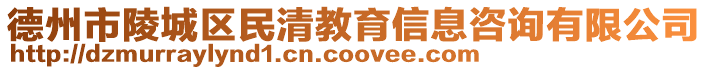 德州市陵城區(qū)民清教育信息咨詢有限公司