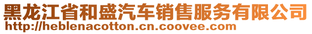 黑龍江省和盛汽車銷售服務(wù)有限公司