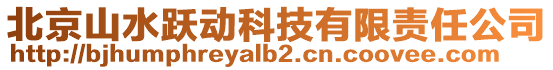 北京山水躍動科技有限責(zé)任公司