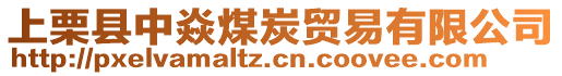 上栗縣中焱煤炭貿易有限公司