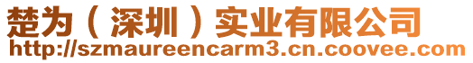 楚為(深圳)實業(yè)有限公司