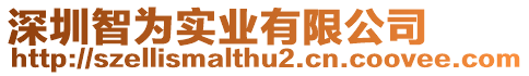 深圳智為實(shí)業(yè)有限公司