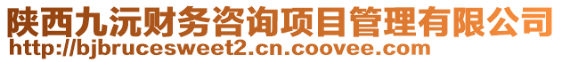 陜西九沅財(cái)務(wù)咨詢項(xiàng)目管理有限公司