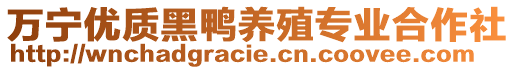 萬寧優(yōu)質(zhì)黑鴨養(yǎng)殖專業(yè)合作社