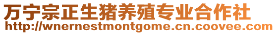 萬寧宗正生豬養(yǎng)殖專業(yè)合作社