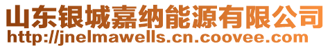 山東銀城嘉納能源有限公司