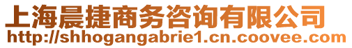 上海晨捷商務(wù)咨詢有限公司
