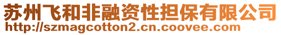 蘇州飛和非融資性擔(dān)保有限公司