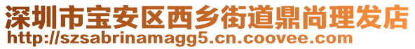 深圳市寶安區(qū)西鄉(xiāng)街道鼎尚理發(fā)店