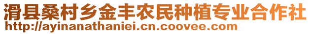 滑縣桑村鄉(xiāng)金豐農(nóng)民種植專業(yè)合作社