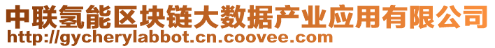 中聯(lián)氫能區(qū)塊鏈大數(shù)據(jù)產(chǎn)業(yè)應(yīng)用有限公司