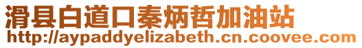 滑縣白道口秦炳哲加油站