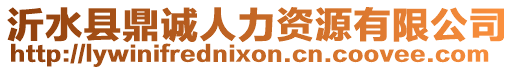 沂水縣鼎誠(chéng)人力資源有限公司