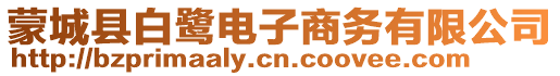 蒙城縣白鷺電子商務有限公司