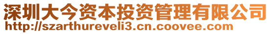 深圳大今資本投資管理有限公司