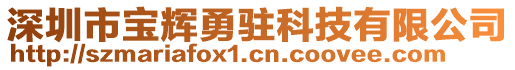 深圳市寶輝勇駐科技有限公司