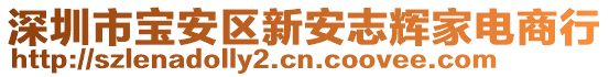 深圳市寶安區新安志輝家電商行