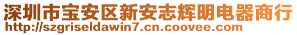 深圳市寶安區(qū)新安志輝明電器商行