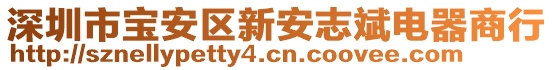 深圳市寶安區(qū)新安志斌電器商行