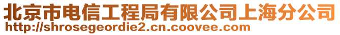 北京市電信工程局有限公司上海分公司