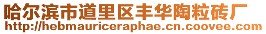 哈爾濱市道里區(qū)豐華陶粒磚廠