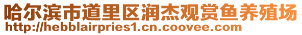 哈爾濱市道里區(qū)潤杰觀賞魚養(yǎng)殖場