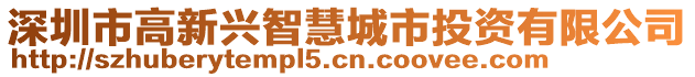 深圳市高新興智慧城市投資有限公司