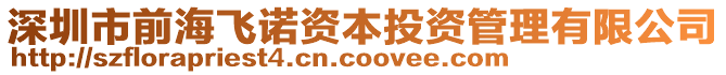 深圳市前海飛諾資本投資管理有限公司