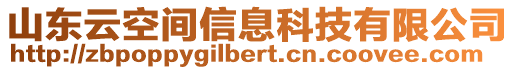 山東云空間信息科技有限公司