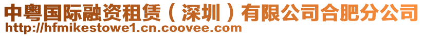 中粵國(guó)際融資租賃（深圳）有限公司合肥分公司